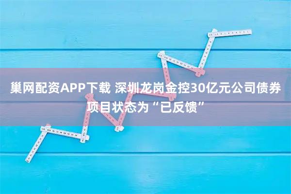 巢网配资APP下载 深圳龙岗金控30亿元公司债券项目状态为“已反馈”