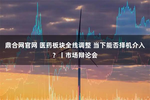 鼎合网官网 医药板块全线调整 当下能否择机介入？丨市场辩论会