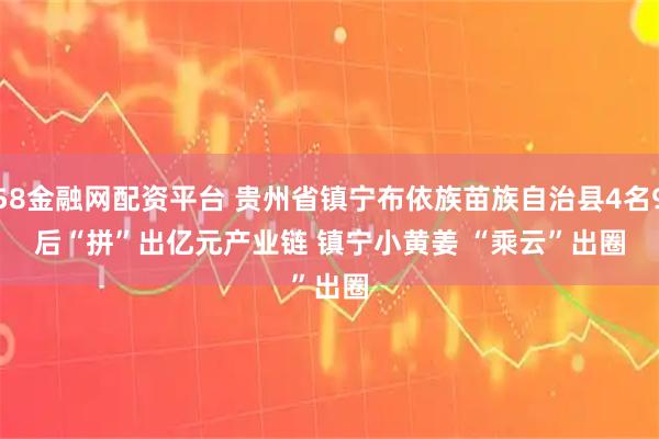 658金融网配资平台 贵州省镇宁布依族苗族自治县4名90后“拼”出亿元产业链 镇宁小黄姜 “乘云”出圈