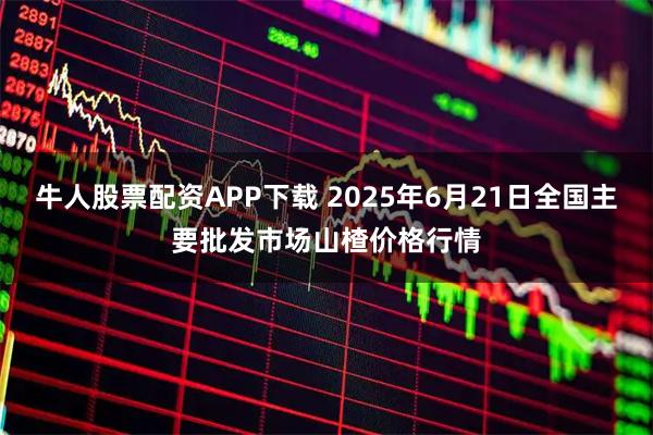 牛人股票配资APP下载 2025年6月21日全国主要批发市场山楂价格行情